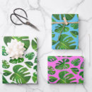 Search for monstera wrapping paper Leaves