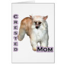 Search for chinese crested powderpuff Hairless