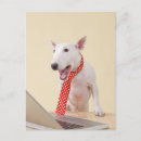 Recherche de ordinateurs portables cartes postales Humour