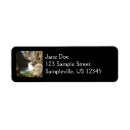 Search for waterfall return address labels Landscape