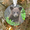 Search for brown bear ornaments Animals in the wild
