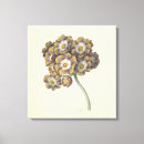 Search for study canvas prints Nature