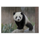 Recherche de géant planches à découper Panda