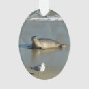 Search for seal ornaments Nature
