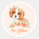Search for cavalier king charles stickers Dog