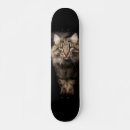 Search for cat skateboards Big