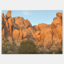Search for joshua tree national rectangular magnets California
