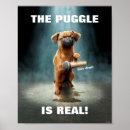 Search for puggles posters Cute