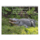 Recherche de alligators bureau fournitures Oiseaux