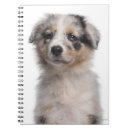 Recherche de berger australien carnets Animal
