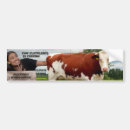 Recherche de climate change bumper stickers Vert