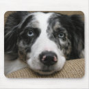 Recherche de berg mousepads Chien