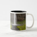 Search for overcast mugs Sky