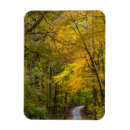 Recherche de le comté vœux cartes Chute