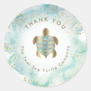 Search for sea turtle stickers Thank you