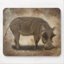 Search for pig pic mousepads Animal