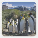 Search for st andrews stickers Blue