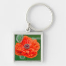 Search for new brunswick keychains Nobody
