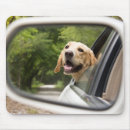 Recherche de labrador retriever tapis souris Cute