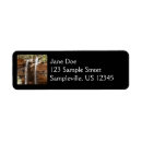 Search for zion return address labels Nature