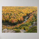 Search for porcupine mountains posters Forest