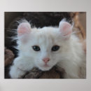 Recherche de curseur Mignon