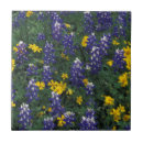 Search for floras tiles Purple
