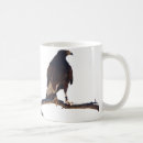 Search for harris hawks mugs Bird