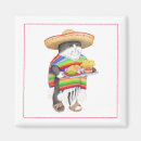 Search for sombrero magnets Cat