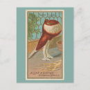 Search for birds of america postcards Wings