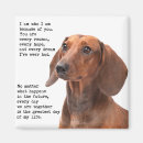 Recherche de dachshund magnets Animal