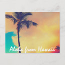 Search for aloha postcards Palm tree