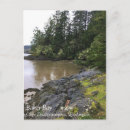 Search for for bakers postcards Forest
