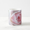Search for delicate rose mugs Flowers