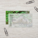 Search for hogs business cards Nature