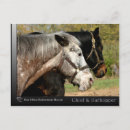 Recherche de appaloosa cartes postales Pur