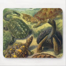 Search for turtle mousepads Reptiles