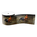 Recherche de coq rubans Animal