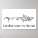 Recherche de requin vintage posters Grand requin blanc