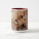 Search for goldendoodle puppy mugs Dog