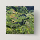 Search for crops buttons Farming