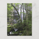Recherche de randonneurs cartes postales Forêt