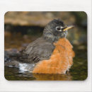 Search for marion mousepads Superstock