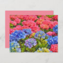 Search for hydrangea note cards Pink
