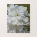 Search for magnolia puzzles Botanical