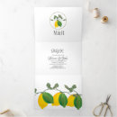 Recherche de trois citrons Verdure