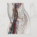 Recherche de immunologique posters Illustrations biomédicales