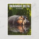 Recherche de okavango cartes postales Animal