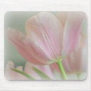Recherche de rose tulipe tapis souris Nature