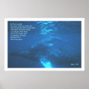 Search for whale posters Quotes